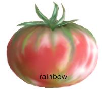 tomato